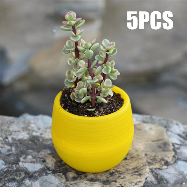 5PCS Mini Round Flower Pot Succulent Plant Planters For Home Garden Decoration 